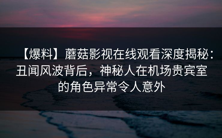 【爆料】蘑菇影视在线观看深度揭秘：丑闻风波背后，神秘人在机场贵宾室的角色异常令人意外