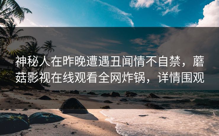 神秘人在昨晚遭遇丑闻情不自禁，蘑菇影视在线观看全网炸锅，详情围观