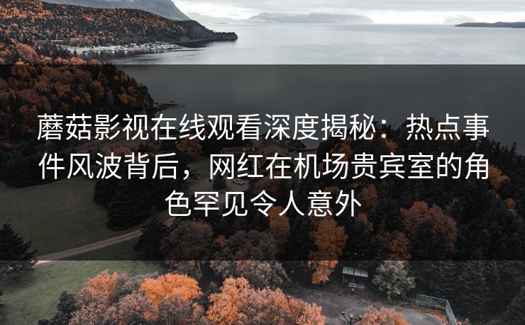 蘑菇影视在线观看深度揭秘：热点事件风波背后，网红在机场贵宾室的角色罕见令人意外