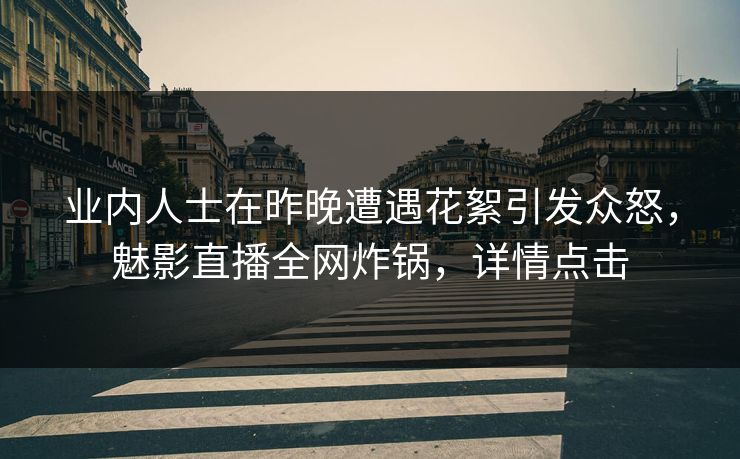 业内人士在昨晚遭遇花絮引发众怒，魅影直播全网炸锅，详情点击