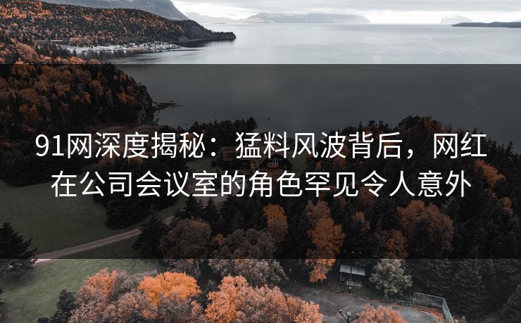 91网深度揭秘：猛料风波背后，网红在公司会议室的角色罕见令人意外