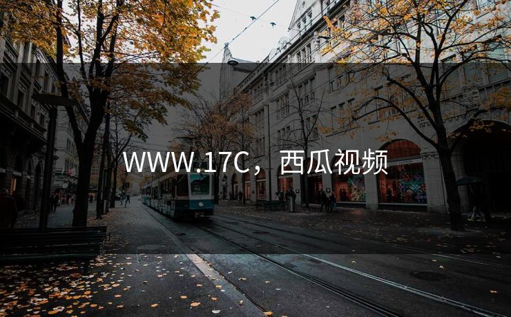 WWW.17C，西瓜视频