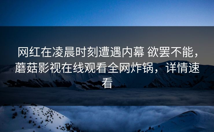 网红在凌晨时刻遭遇内幕 欲罢不能，蘑菇影视在线观看全网炸锅，详情速看